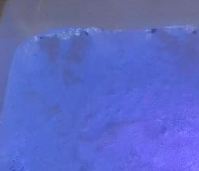 B&b La Reggia Di Rihanna Spa