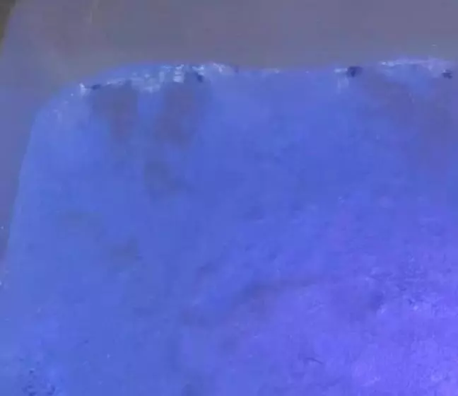 B&b La Reggia Di Rihanna Spa