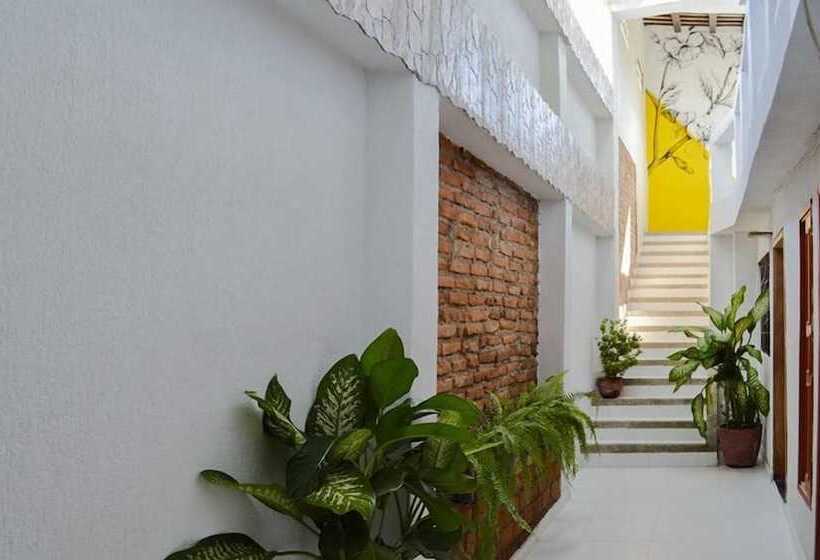 فندق Bacano Lofts