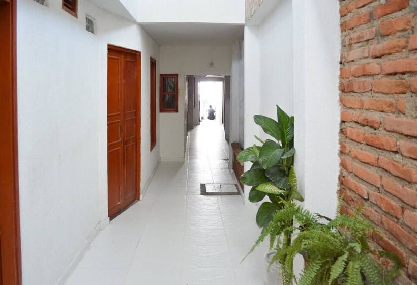 فندق Bacano Lofts