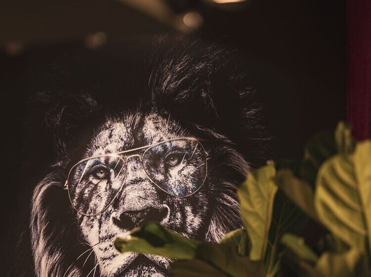 Dandy Hotel & Kitchen