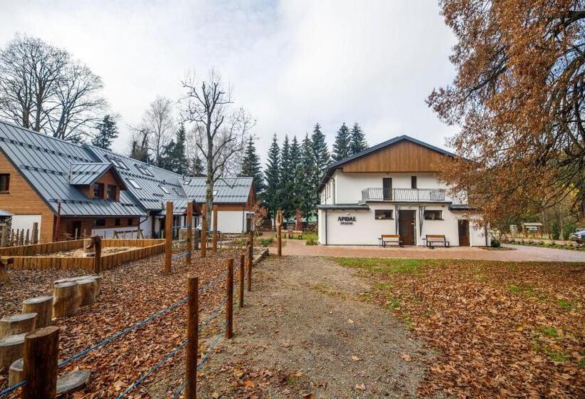 Panzió Penzion Apidae