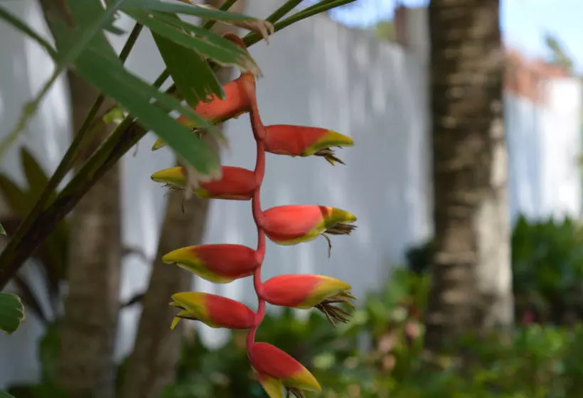 هتل Casa De Shalom