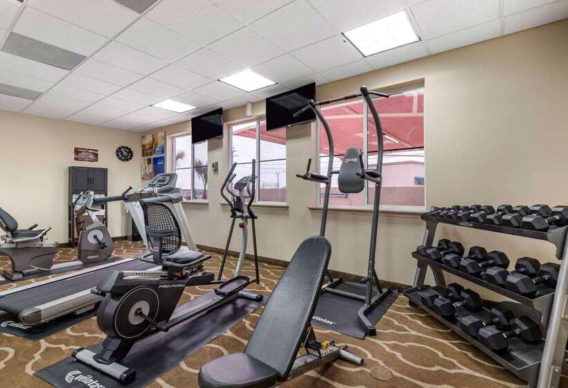 בית מלון כפרי Comfort Inn & Suites Lakeside