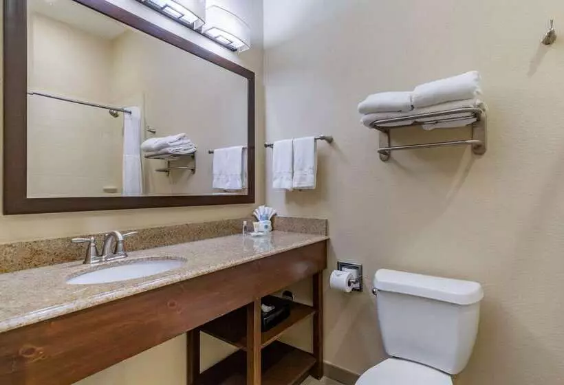 בית מלון כפרי Comfort Inn & Suites Lakeside