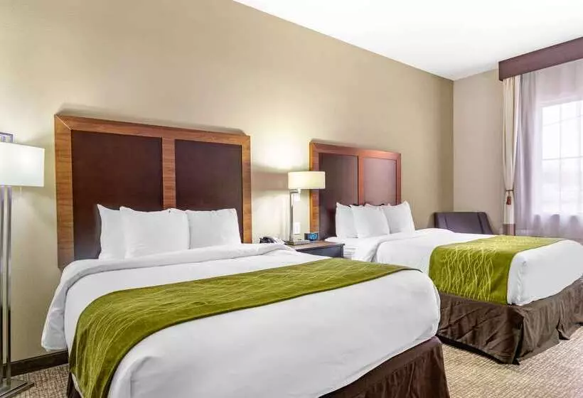 בית מלון כפרי Comfort Inn & Suites Lakeside
