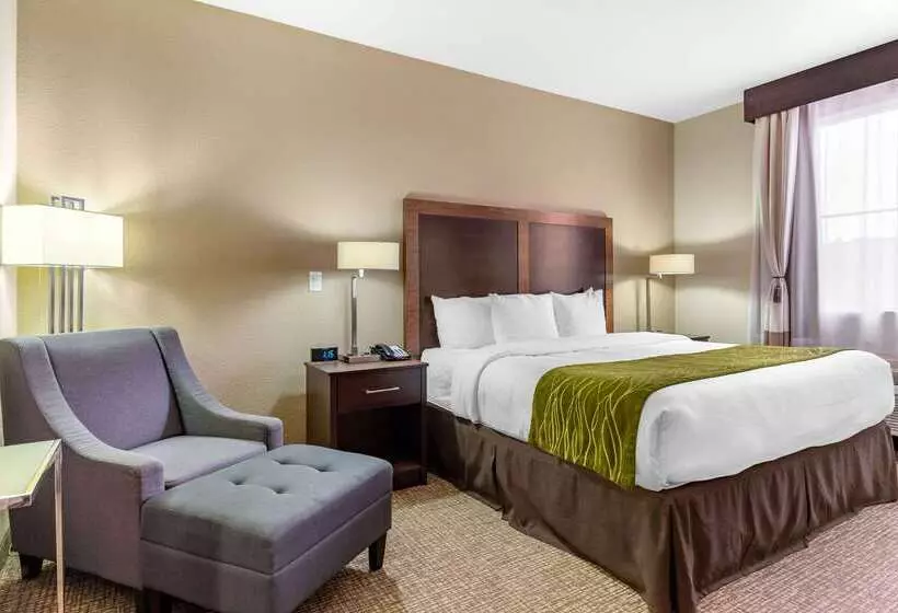 בית מלון כפרי Comfort Inn & Suites Lakeside