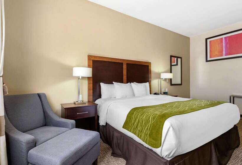 בית מלון כפרי Comfort Inn & Suites Lakeside