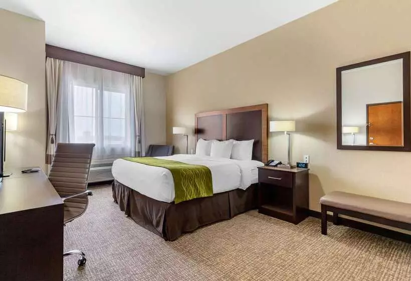 בית מלון כפרי Comfort Inn & Suites Lakeside