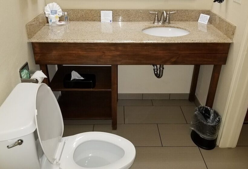 בית מלון כפרי Comfort Inn & Suites Lakeside