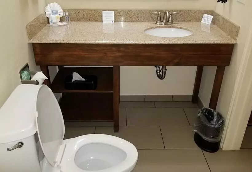 בית מלון כפרי Comfort Inn & Suites Lakeside