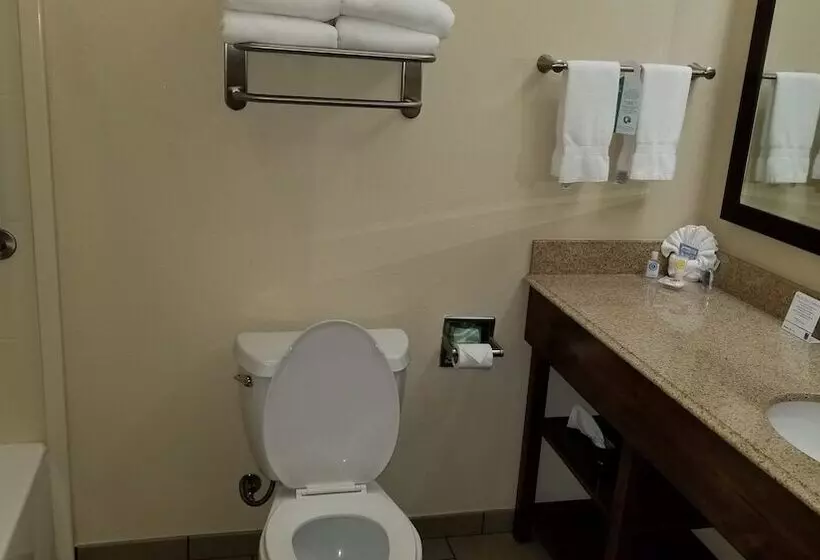 בית מלון כפרי Comfort Inn & Suites Lakeside