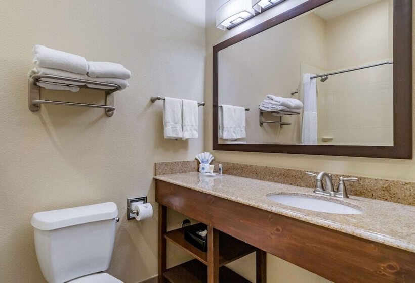 בית מלון כפרי Comfort Inn & Suites Lakeside