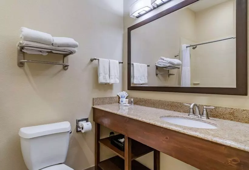 בית מלון כפרי Comfort Inn & Suites Lakeside