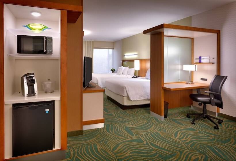 Hotelli Springhill Suites By Marriott Houston I 45 North