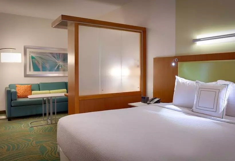 호텔 Springhill Suites By Marriott Houston I 45 North