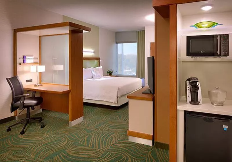 호텔 Springhill Suites By Marriott Houston I 45 North