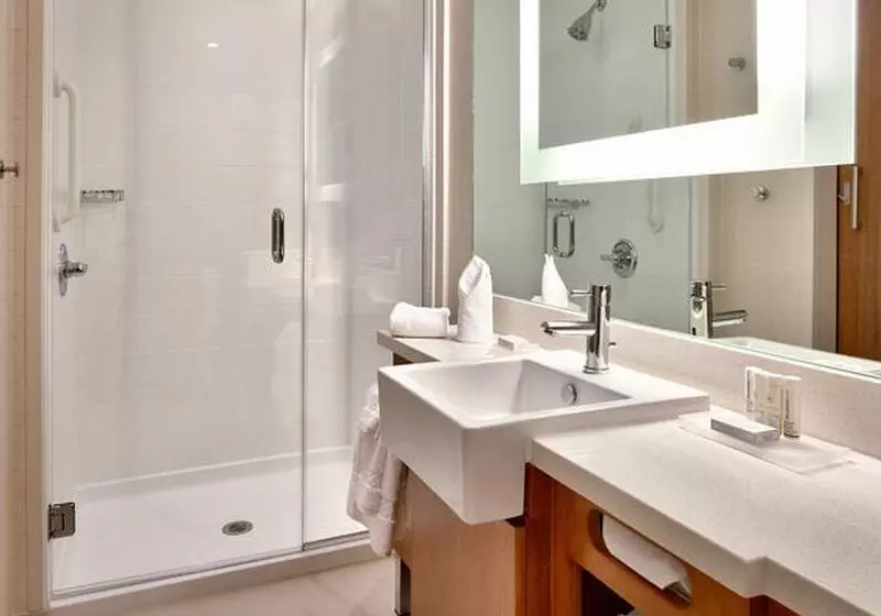 호텔 Springhill Suites By Marriott Houston I 45 North