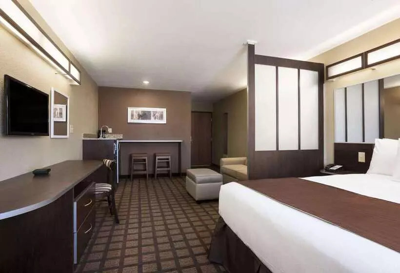 Microtel Inn & Suites By Wyndham Kenedy/karnes City