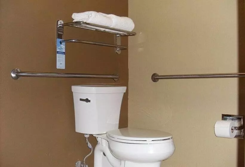 Microtel Inn & Suites By Wyndham Kenedy/karnes City