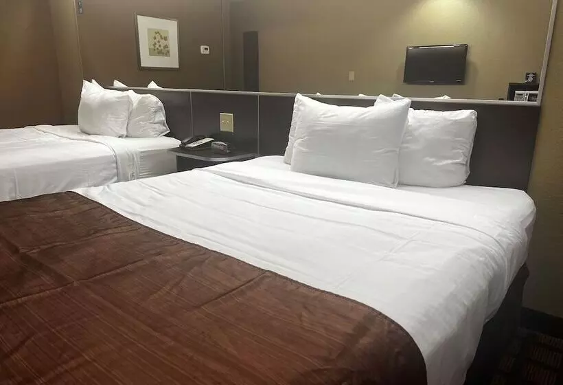 Microtel Inn & Suites By Wyndham Kenedy/karnes City