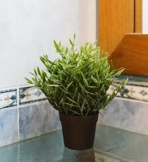 Casa Begoña   Wifi, Sencillo Y Acogedor