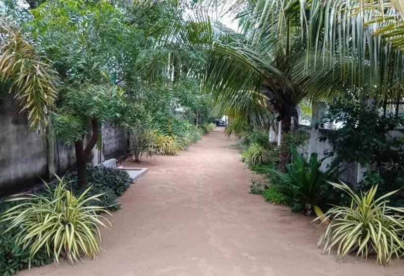 ホテル Elegant Green Beach Resort