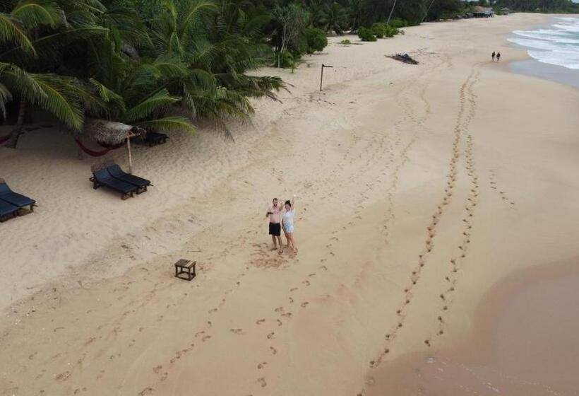 호텔 Marakolliya Beach Resort