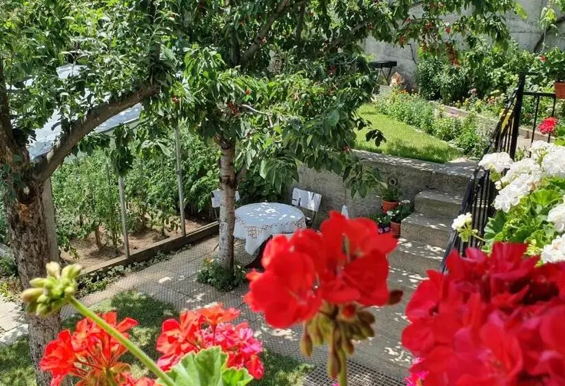 ペンション къща за гости солакови