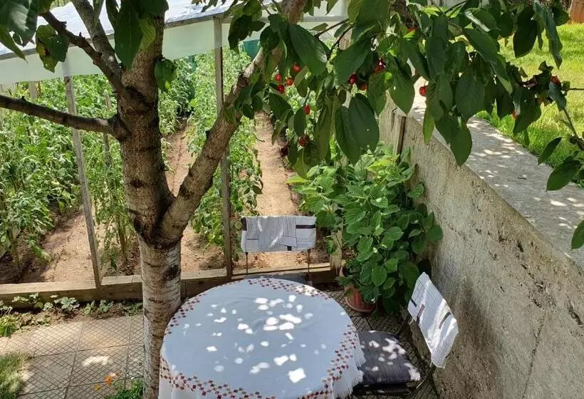 ペンション къща за гости солакови