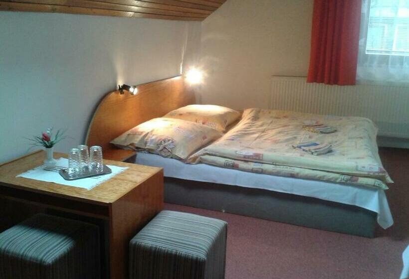 ペンション Penzión U Aleny