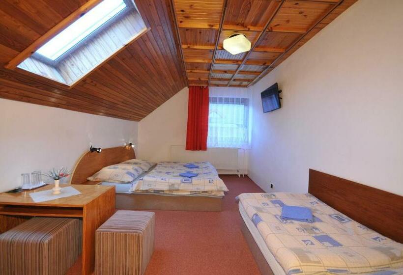 ペンション Penzión U Aleny