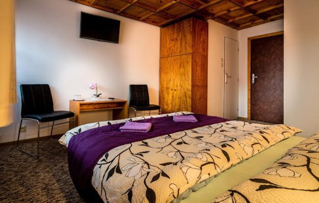 ペンション Penzión U Aleny