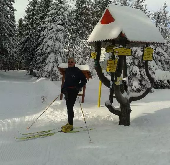 Majatalo Penzión U Aleny