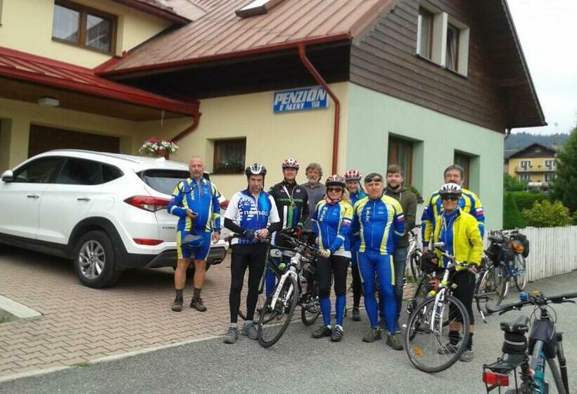 ペンション Penzión U Aleny