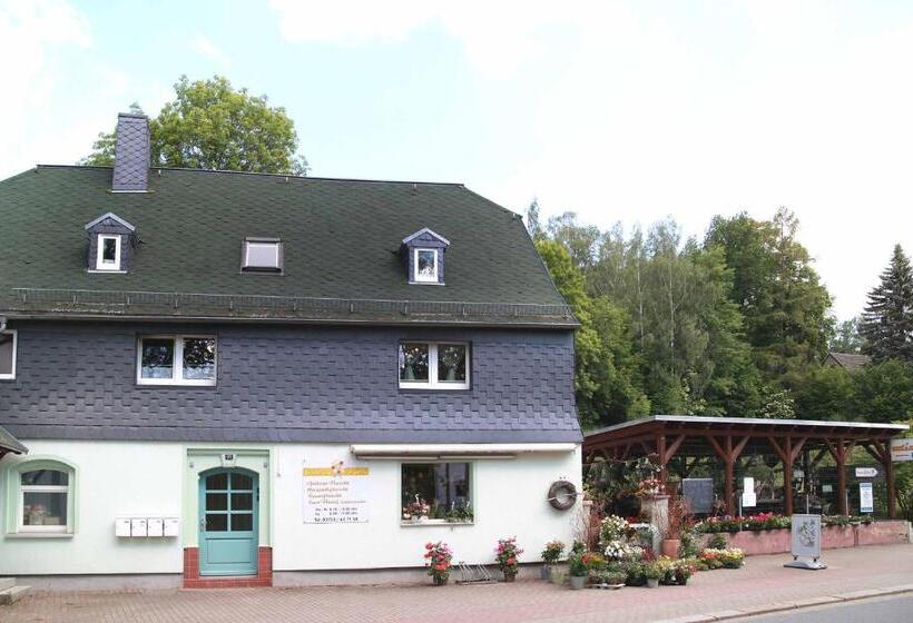 Fewo  Schiefe  Marie