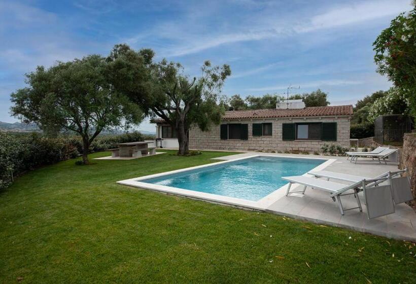 [villa Con Piscina] Nelle Colline Della Gallura