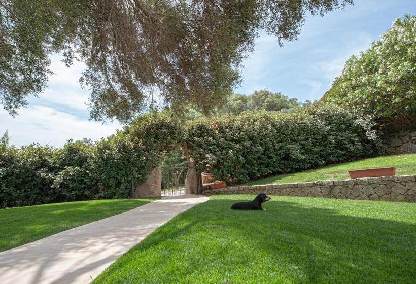 [villa Con Piscina] Nelle Colline Della Gallura