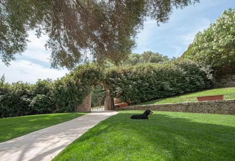 [villa Con Piscina] Nelle Colline Della Gallura