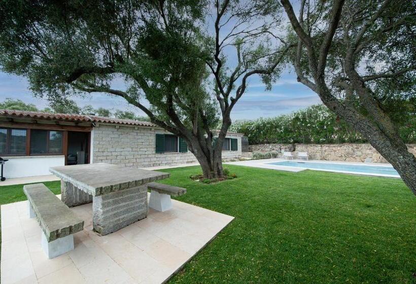 [villa Con Piscina] Nelle Colline Della Gallura