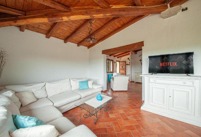 [villa Con Piscina] Nelle Colline Della Gallura