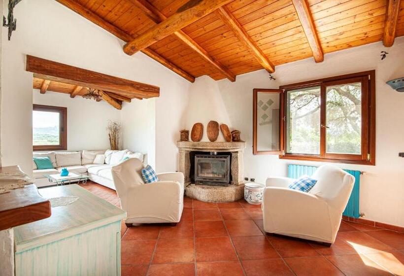 [villa Con Piscina] Nelle Colline Della Gallura