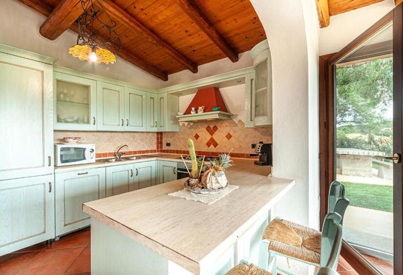 [villa Con Piscina] Nelle Colline Della Gallura