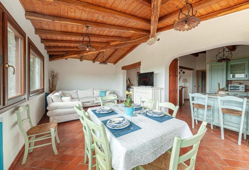 [villa Con Piscina] Nelle Colline Della Gallura