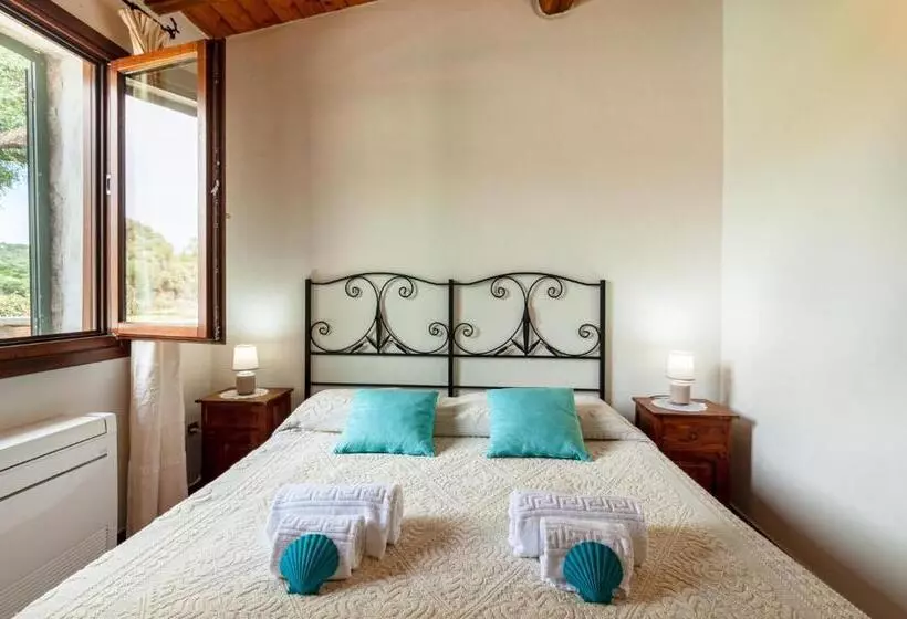 [villa Con Piscina] Nelle Colline Della Gallura