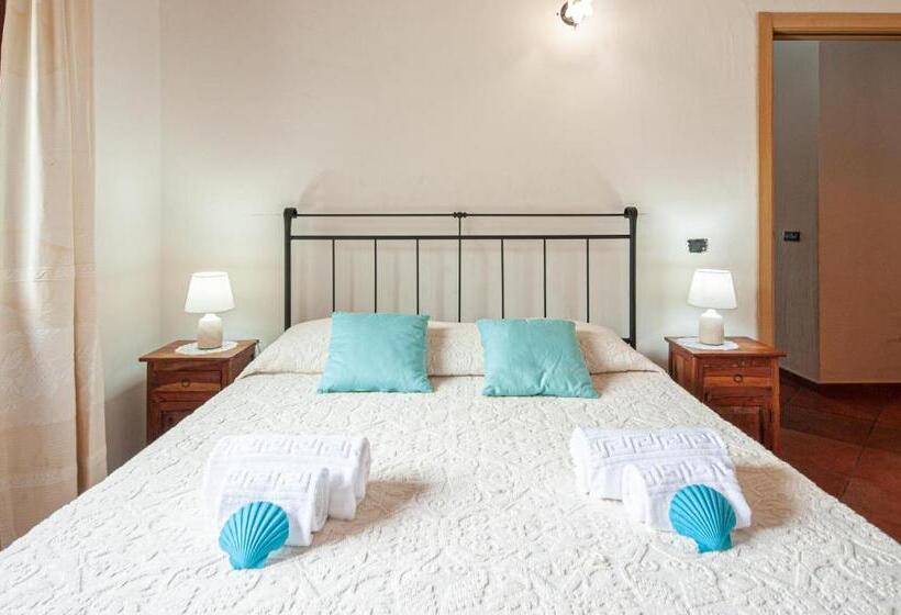 [villa Con Piscina] Nelle Colline Della Gallura