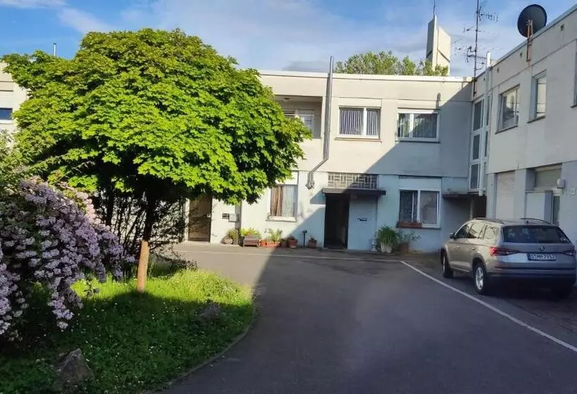 Wohnung Für Grosse Gruppe Bis 10 Person