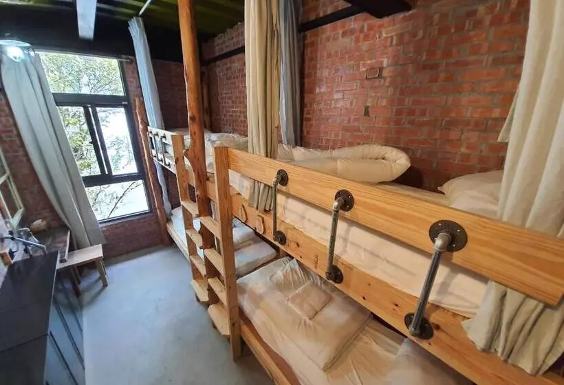 缽割貓點點 青旅 Diandian Hostel