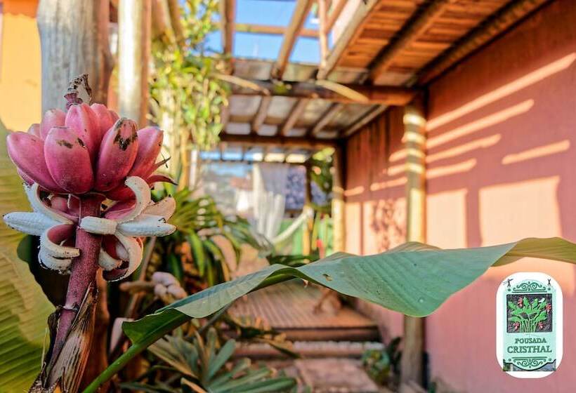 Общежитие Pousada Cristhal Paraty