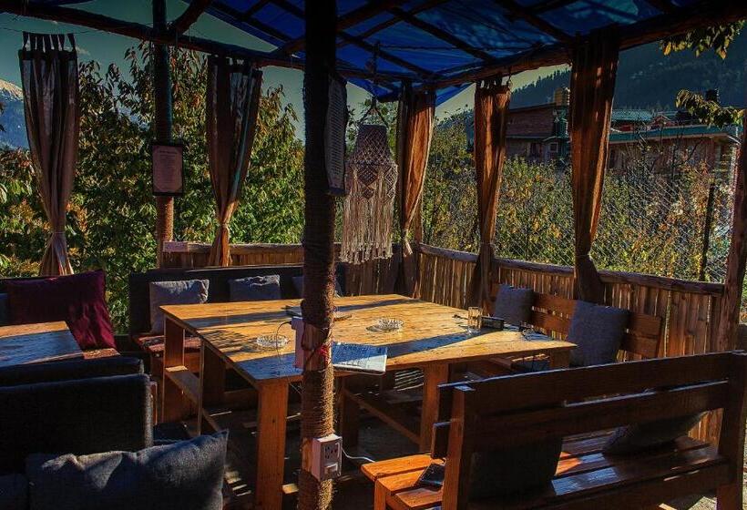 ユースホステル Yolo Backpackers   Manali